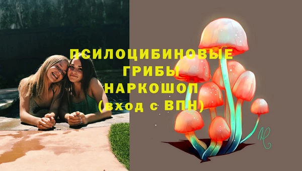 Альфа ПВП Пересвет