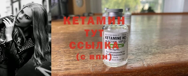 шишки Пестово