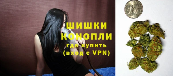 шишки Пестово