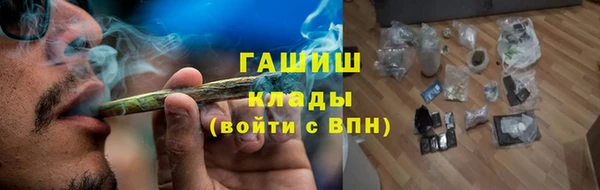 шишки Пестово