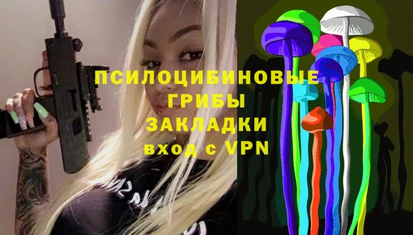 шишки Пестово