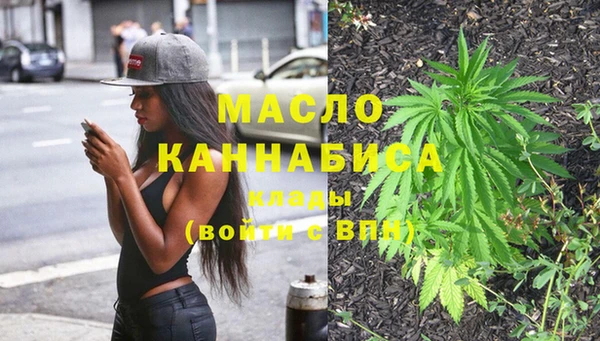 Альфа ПВП Пересвет