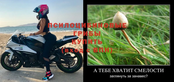 Альфа ПВП Пересвет