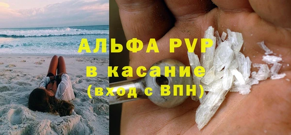 шишки Пестово