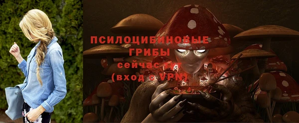 шишки Пестово