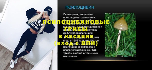 Альфа ПВП Пересвет