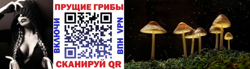 Псилоцибиновые грибы MAGIC MUSHROOMS где можно купить наркотик Белый